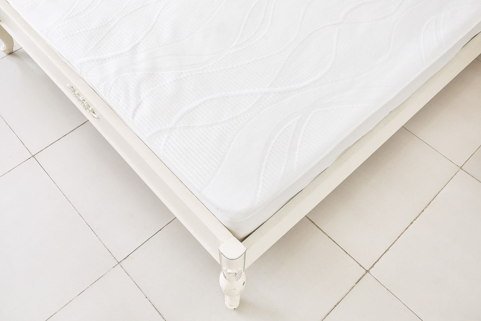 ������������ ���� �� ����� ������ ����