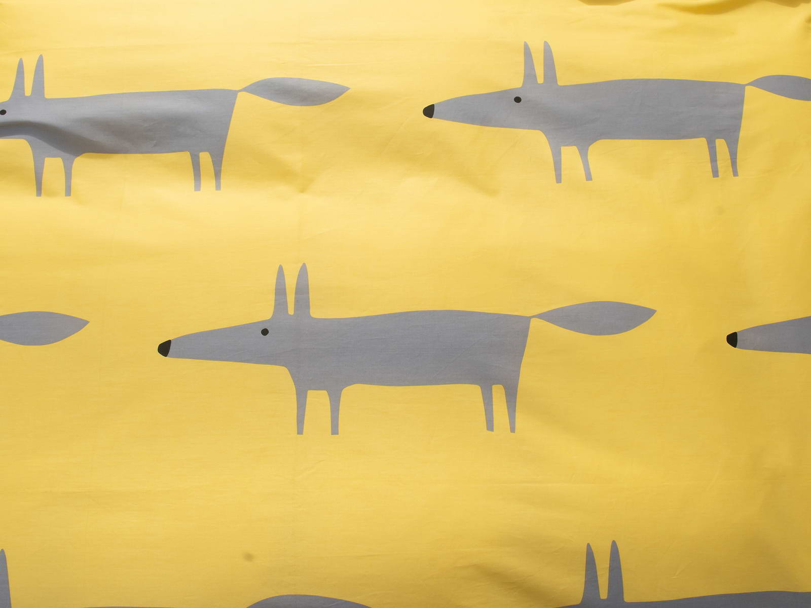 ���������� ����� ���� �� ����� Foxi