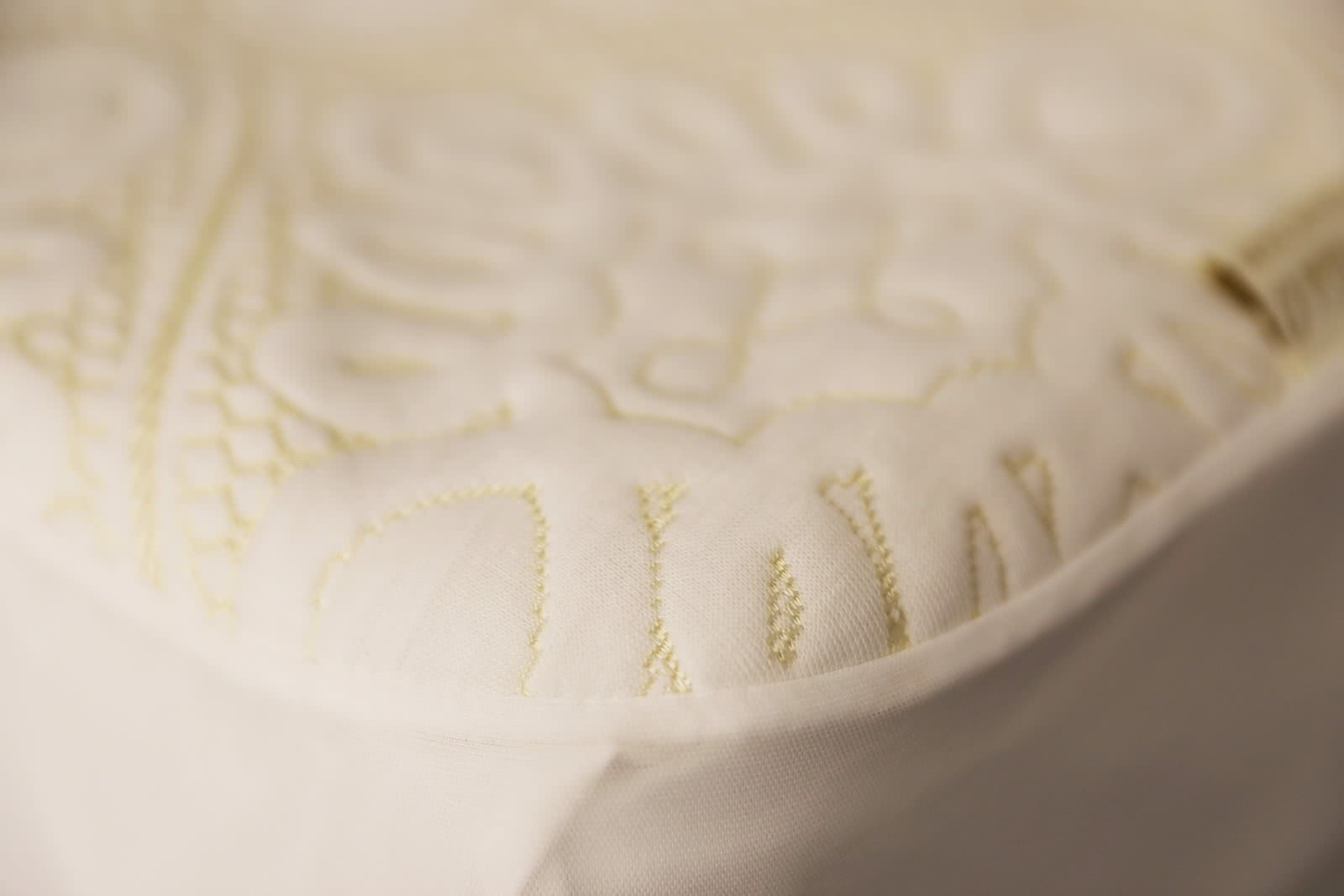 ������������ ���� �� ����� Evkalipt